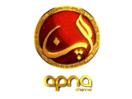 (PK) Apna Channel