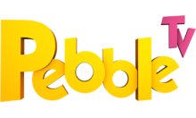 (NL) Pebble TV
