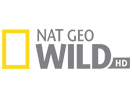 (NO) National Geographic Wild 4K+